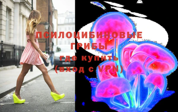 гидра Красноперекопск