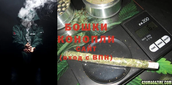 молекула духа Коряжма