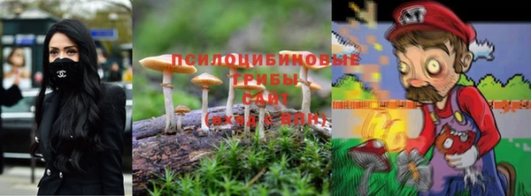 сатива Костерёво