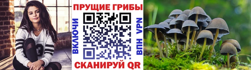 Галлюциногенные грибы мицелий  Купить закладки  Бугуруслан 